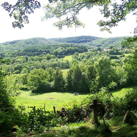 Petite Ferme D'Autrefois Villa Saint-Georges-Nigremont Eksteriør billede